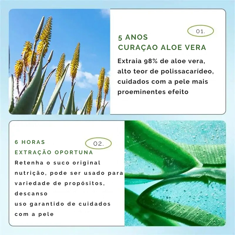 Bálsamo Labial Hidratante Natural de Aloe Vera - Cuidado Duradouro para Lábios Secos