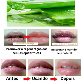 Bálsamo Labial Hidratante Natural de Aloe Vera - Cuidado Duradouro para Lábios Secos