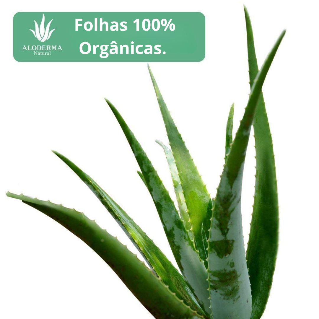 Aloderma Aloe Vera Limpador Hidratante para Grávidas - Sem irritações